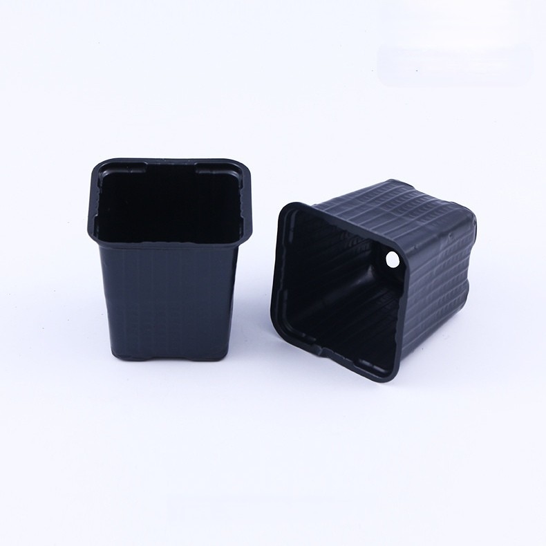 Customized square vacuum formed black PP PS plastic plant planting pot basin transplanting garden maintenance tray