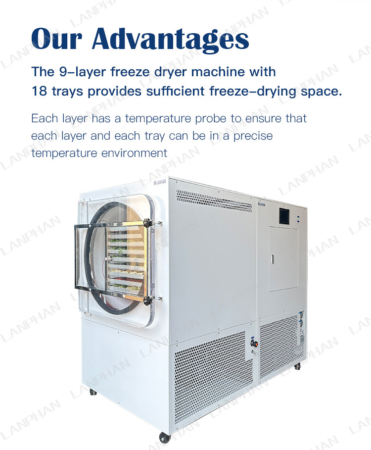Lanphan Automatic Large Freeze Dryer 5m2 Freeze Dryer Machine For Meat Fruit Vegetables