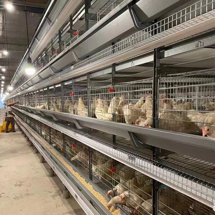 Antirust Chicken Egg Layer Cage Laying Hens Battery Cage Farming