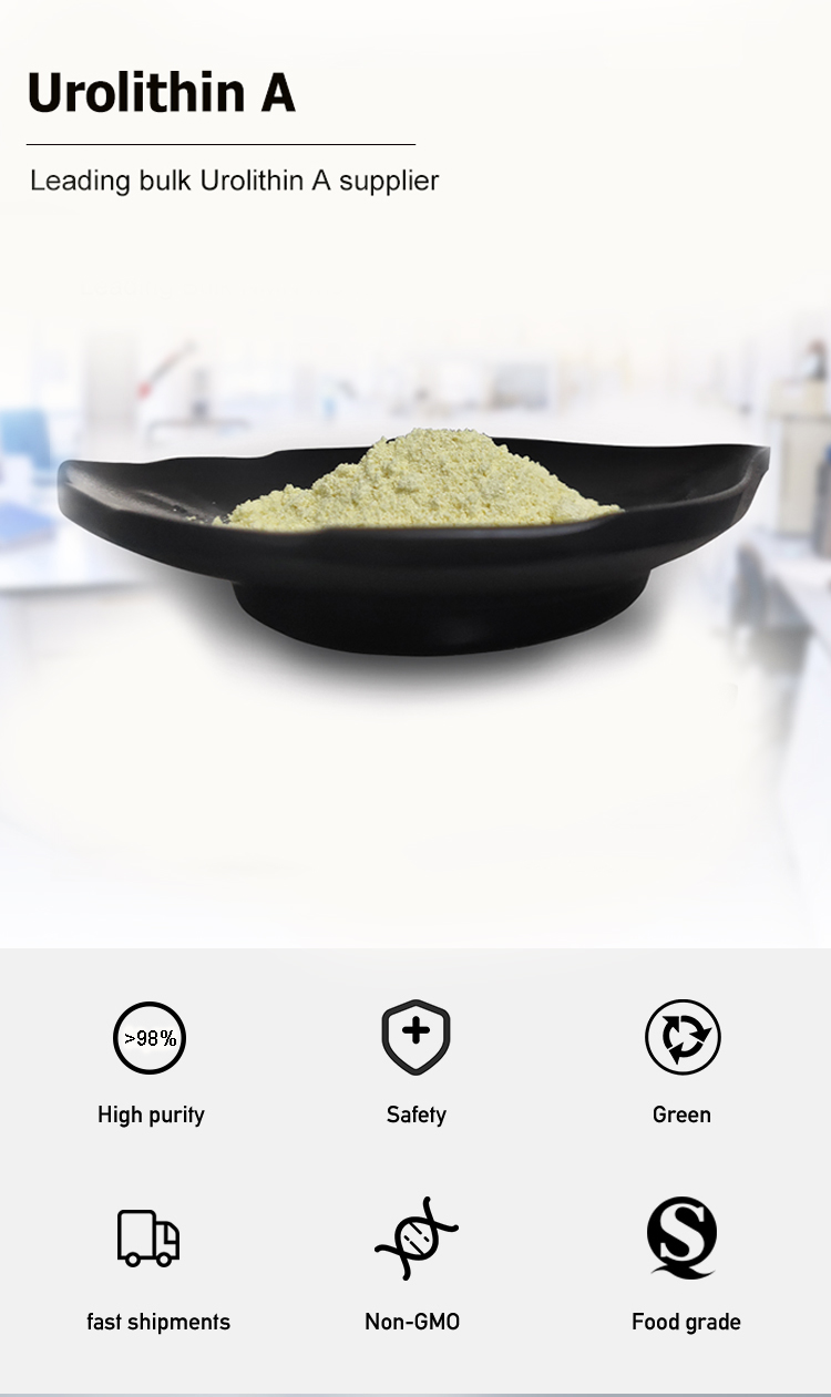 High Purity 99% Urolithin A Supplement CAS 1143-70-0 For Food Manufactured