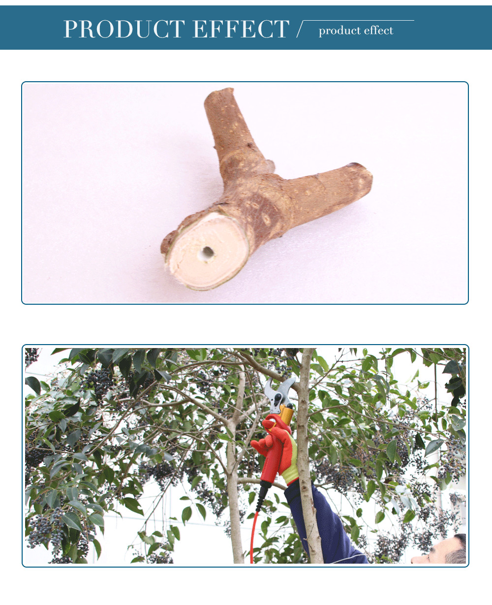 Swansoft 4.0CM Electric Pruner Electric Pruning Shears, Electric Fruit Shears, Electric Garden Shears, Electric Scissors