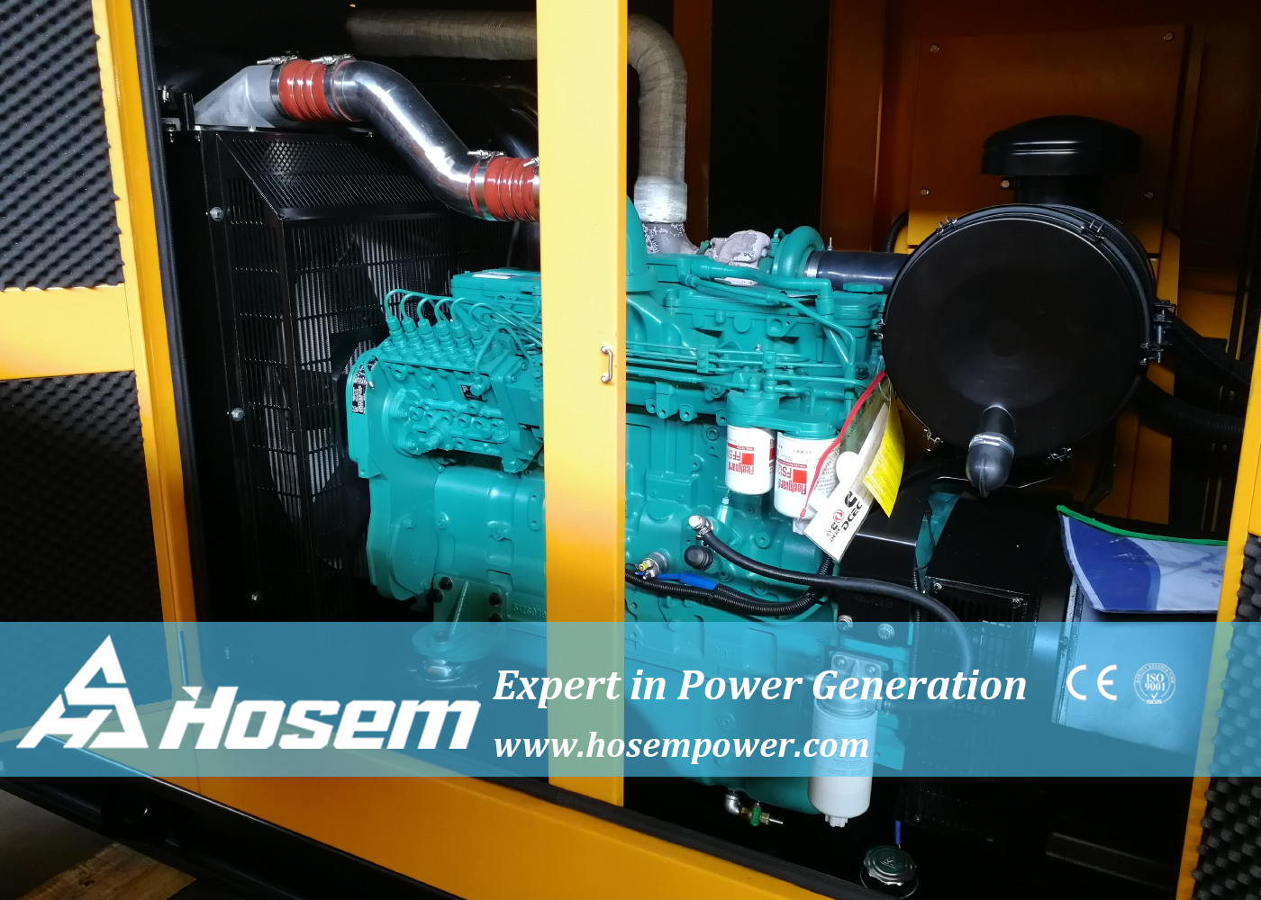 CE Backup 250kVA NT855-GA Cummins Dg Set