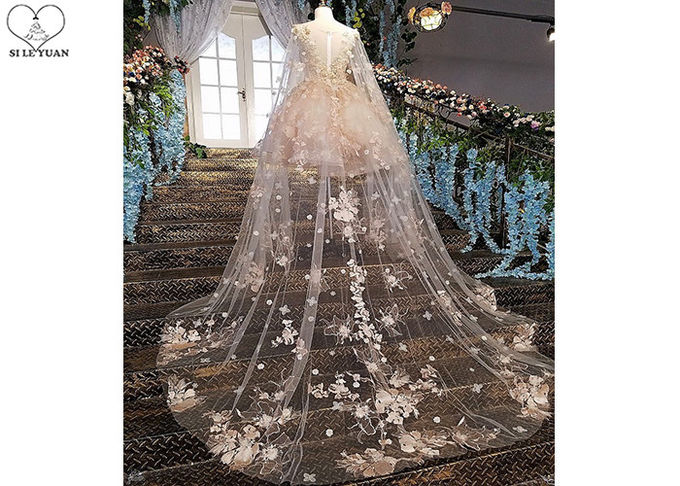 Pink Short Fitted Wedding Dress Special Irregular Transparent Lace Long Tail