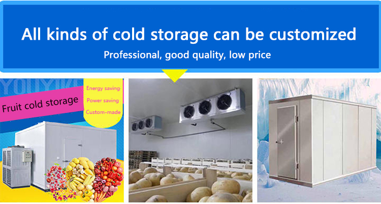 Lower Temperature Storage Container Cold Room Single Phase 800ton -40℃ ~ +20℃