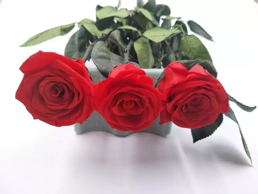 christmas ornaments long stem real touch natural flowers preserved roses