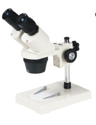 Fixed Magnification Stereo Microscope XTX-204A