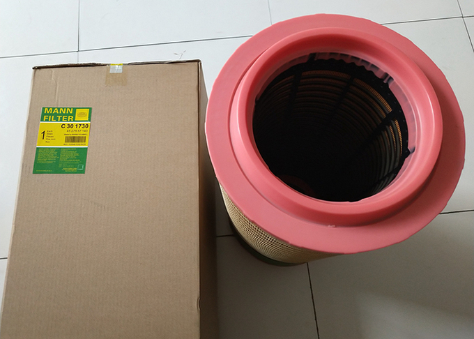 C301730 Mann Air Filter Germany Air Grid Imported Filter Paper 0