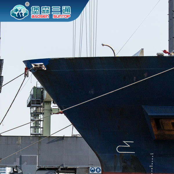 From China To EU / UK / USA Sea Freight Forwarder Cargo Services