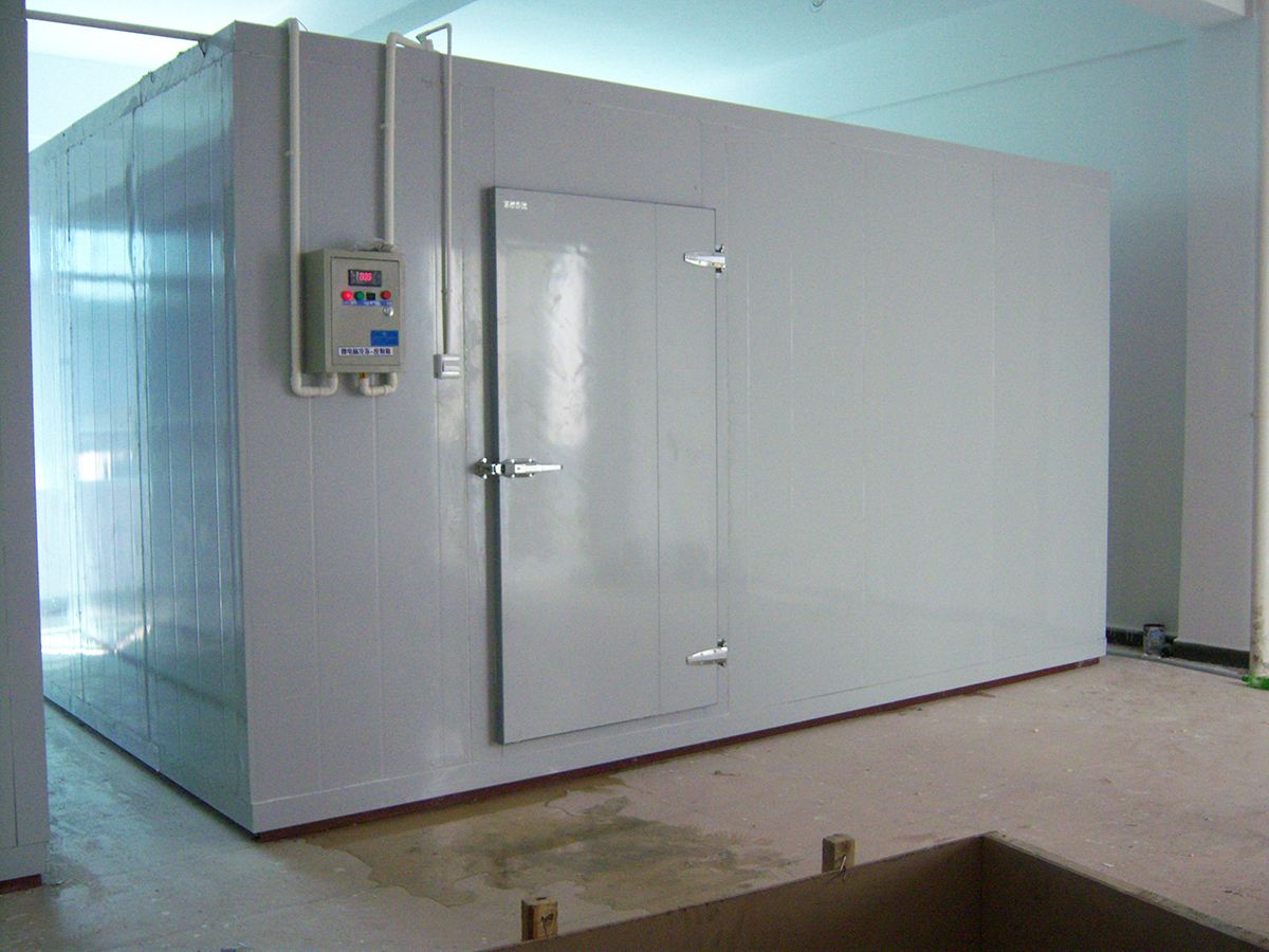 Vegetables Cold Room Freezer Walk In Cold Storage Units For Keep Fresh Fruits Fish Transportation