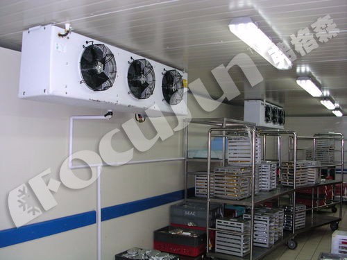 Cold Room Freezer for Vegetables Fruit Meat And Seafood