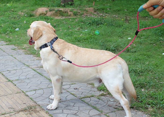 Steel Suspension Pet Traction Rope , Bite Proof Durable Dog Tie Out Cable