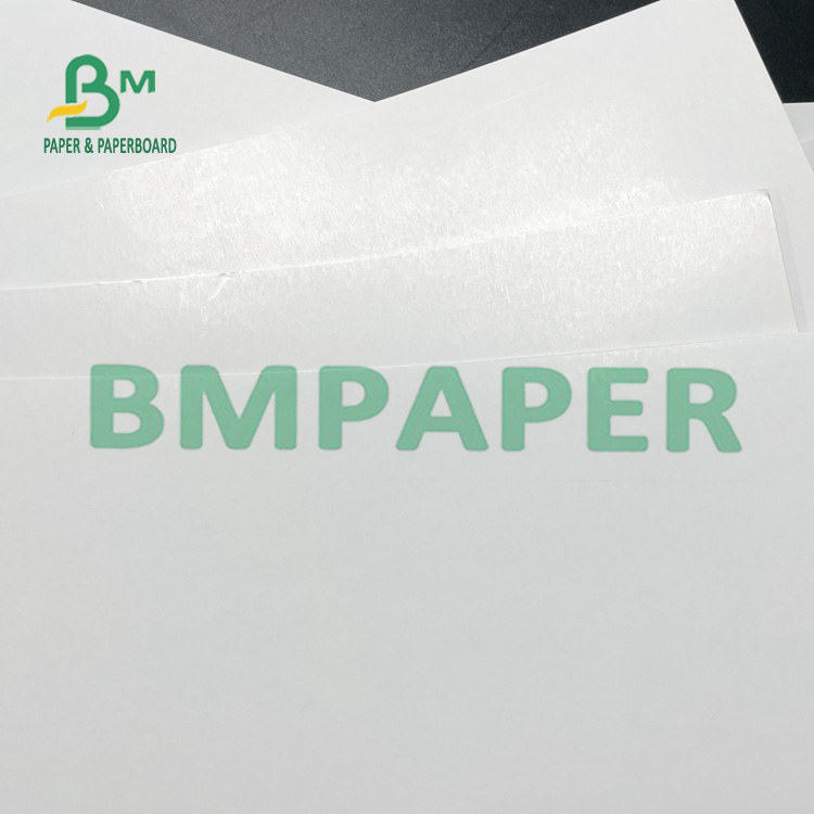 Highly Glossy Coated Customized Lightweight Paper with Good Flexibility
