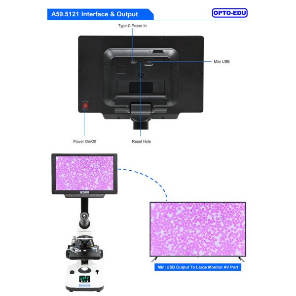 OPTO-EDU A33.5115 9" LCD Heating Stage Microscope with 40x~640x Optical Magnification and 60fps