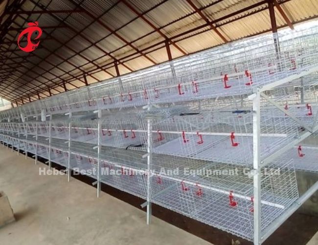 Day Old Chicks Battery Cage For Broilers 3 Or 4 Tier Galvanized Iris