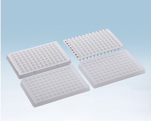 Non Skirted Clear Alphanumeric Grid 96 Well PCR Plate