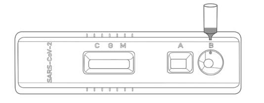 20 Tests/Box Effective Covid 19 Test Kits