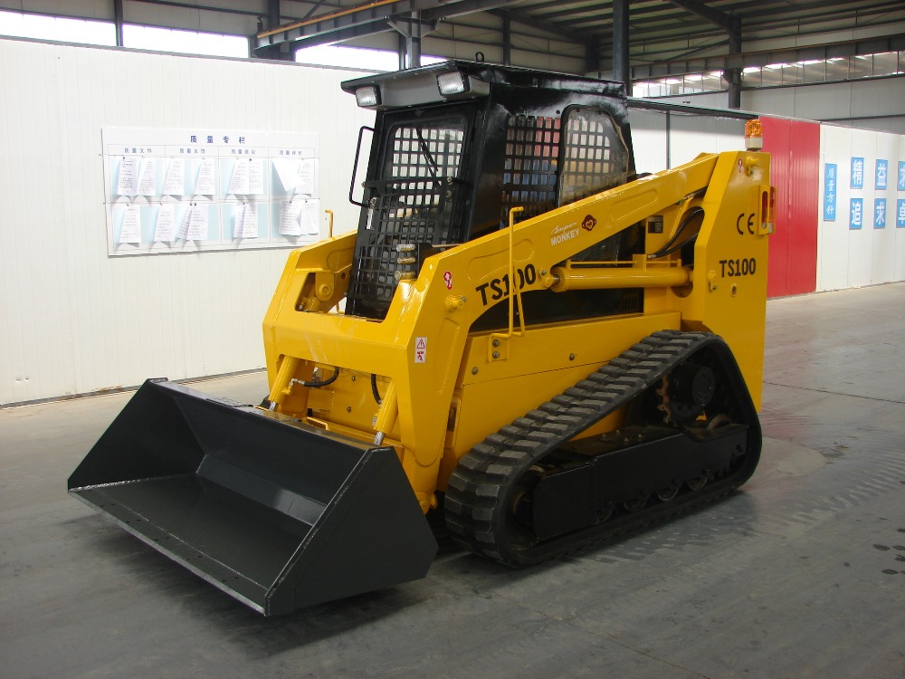 TS1001