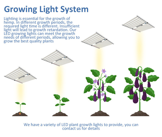 30x100 Meters Agricultural Dep Greenhouse Blackout System For Hemps Growing