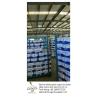 Buy cheap Garlic to Senegal,Purple garlic. from wholesalers