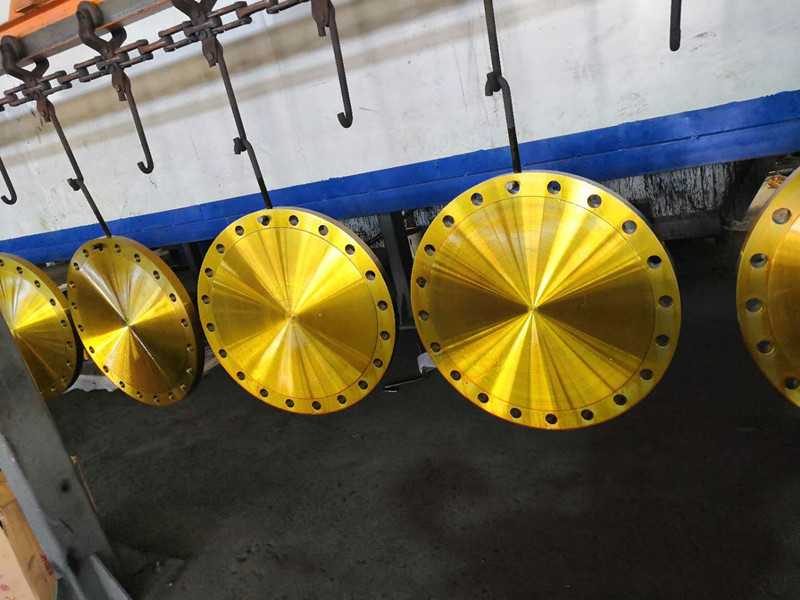 JIS B2220 SOP SOH 5K 10K 16K SO Blind Flange SS400 Forged CS SS Flange
