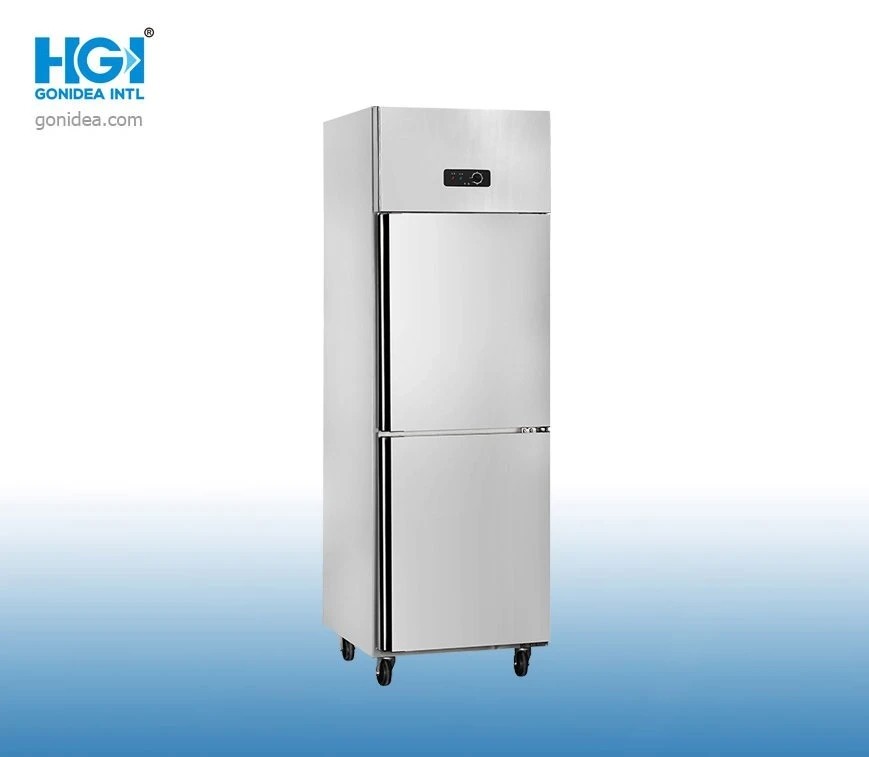 Stainless Steel Refrigerant R600A Commercial Refrigerator With 2 Glass Door