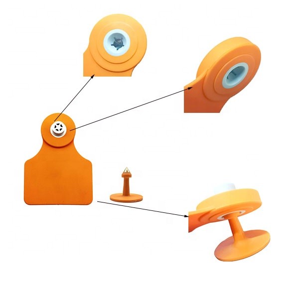 Cattle Management RFID Livestock Tags Animal Recording