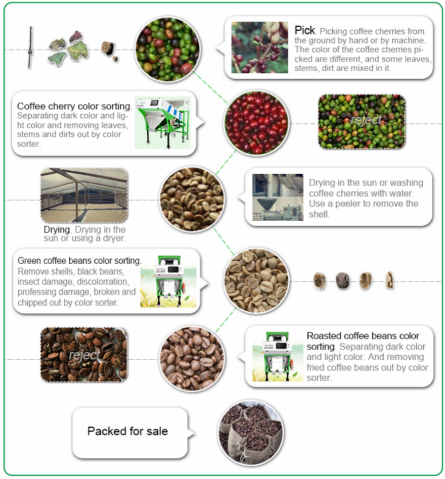 Intelligent CCD Chutes Coffee Bean Color Sorting Machine Coffee Bean Color Sorter