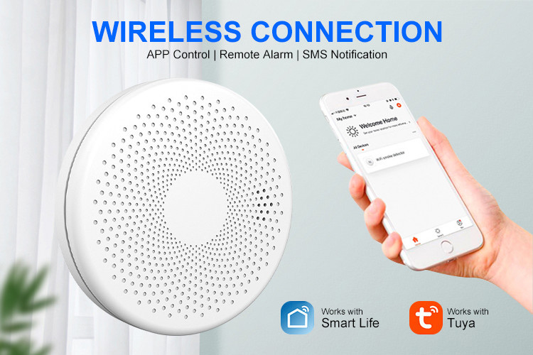 Portable WiFi Smoke Detector Alarm Combine Co Detector Carbon Monoxide Alarm With Low Power Remind