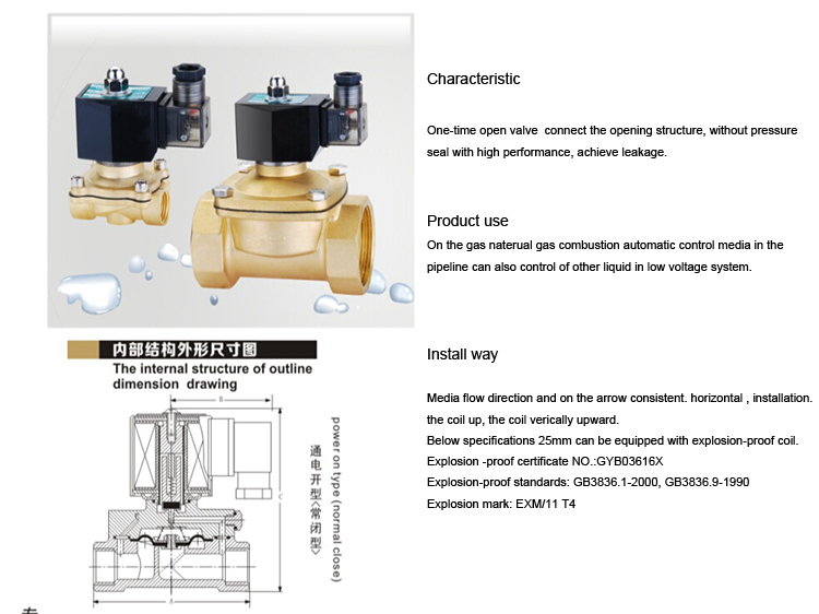 ZCG Lpg Gas Solenoid Valve High Temp Durable Ss304 24V DC For Gas 1/4''