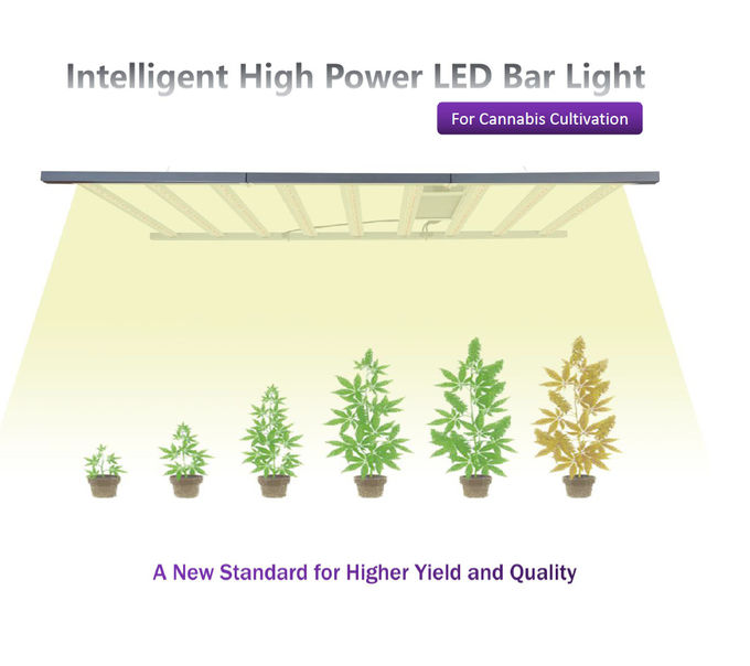 8 Bars LED Plant Herb Grow Lights 640w Lm301h 3000k Full Spectrum