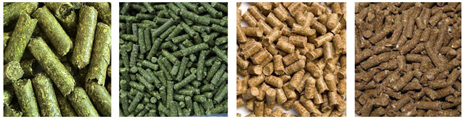 animal feed production line
