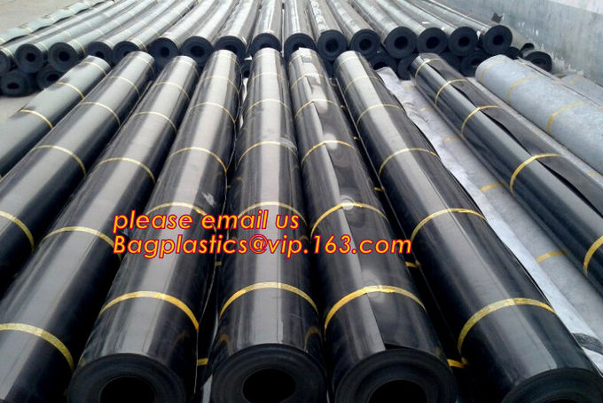 2.0mm geomembrane for landfill Hdpe geomembrane landfill geomembrane,hdpe geomembrane price/gse hdpe geomembrane BAGEASE 19