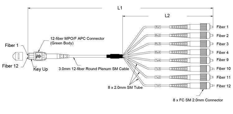 SM MM OM3 OM4 OS2 Fanout MPO MTP Cable SC LC FC ST Connectors