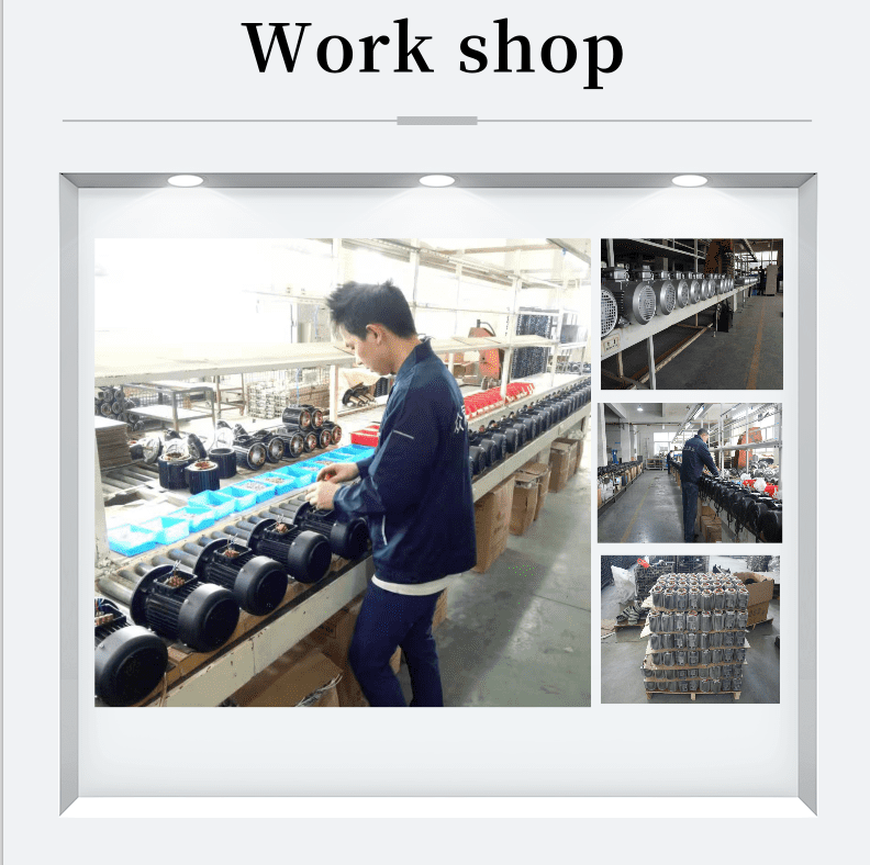 hydraulic motor