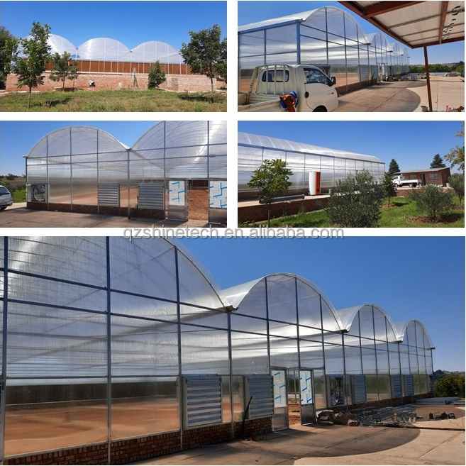 PC Plastic Polycarbonate Sheet Multi Span Hydroponic Greenhouse