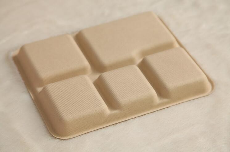 5 compartments Biodegradable Straw pulp food containers paper food trays