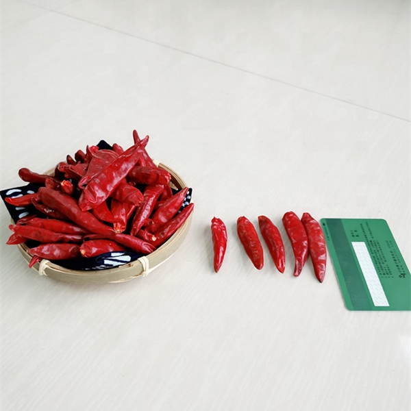 High Quality Dry Chilli Pepper Seasoning