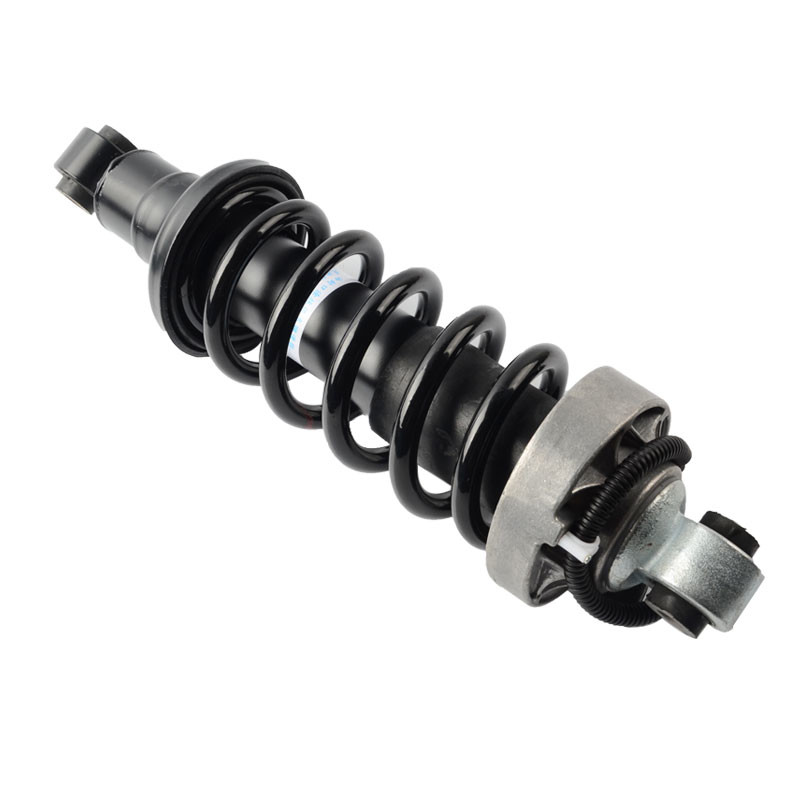 Air Suspension Shock Strut Absorber Audi R8 Rear With ADS 420512019AL 420512020AL