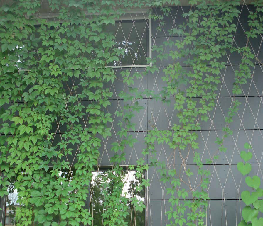 7x19 Stainless Steel Wire Rope Mesh
