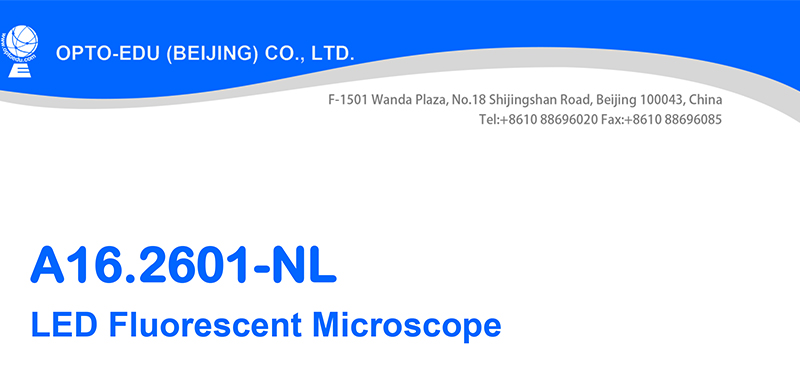 OPTO-EDU A16.2601-NL Fluorescence Microscopy 3W LED Illumination Systems For Research / Learning