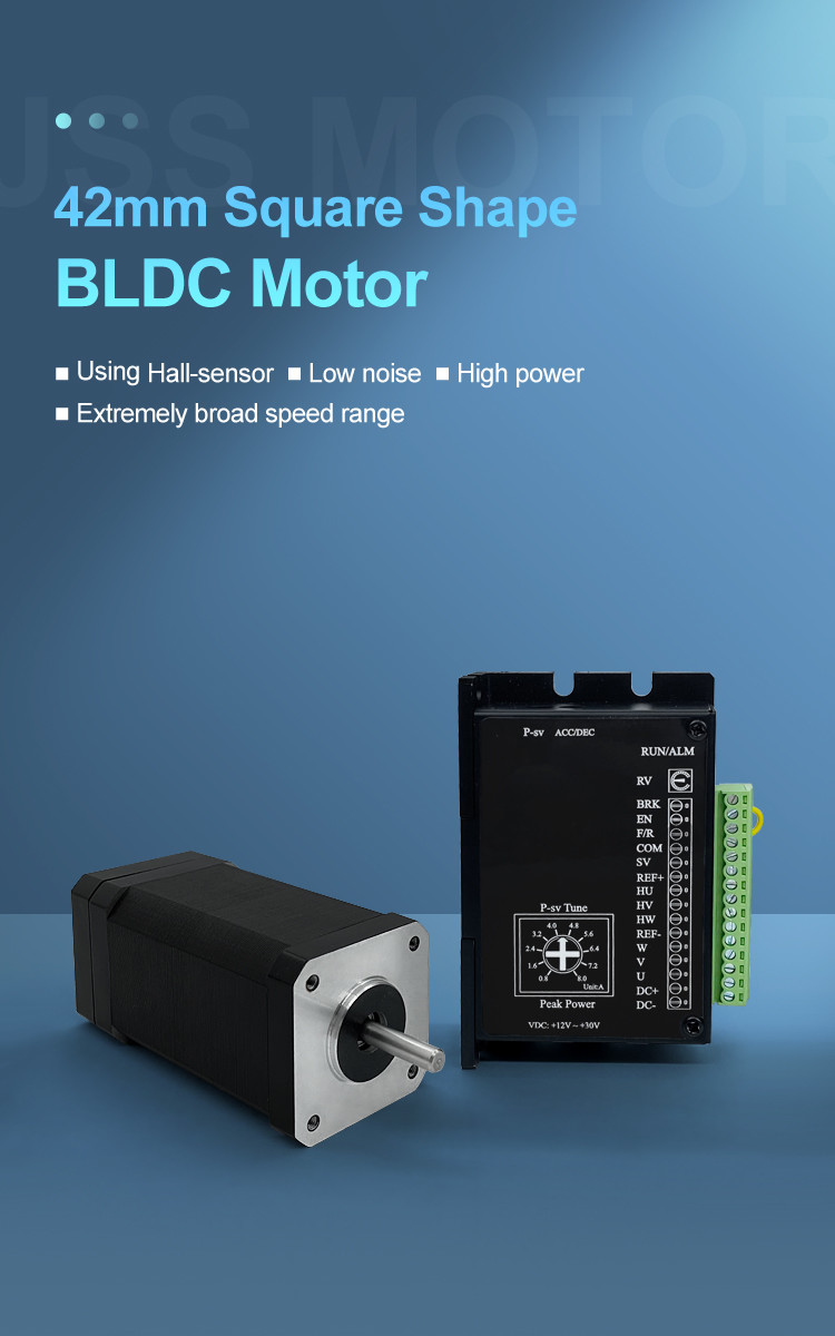 Brushless Motor 24V 250W DC 12V Motor 200W 42Mm Brushless Dc Motor