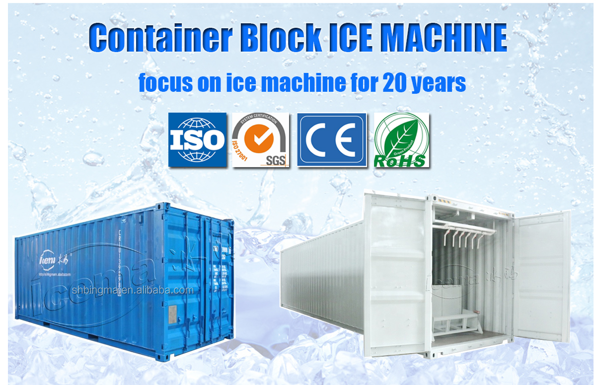 2000 KG TECUMSEH Compressor 15 Ton Container Block Ice Machine with Mobile Plant
