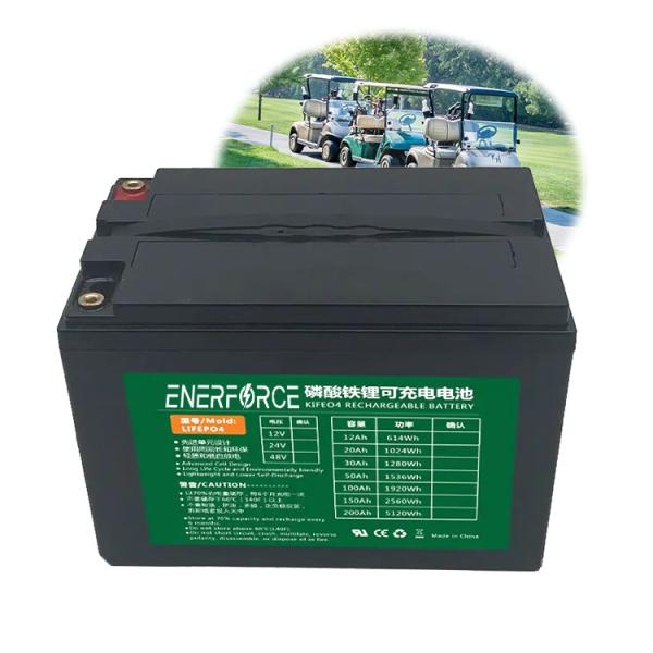 36V 48V 60V Golf Cart Battery Lifepo4 Battery Pack 100ah 150ah 200ah 300ah Grade