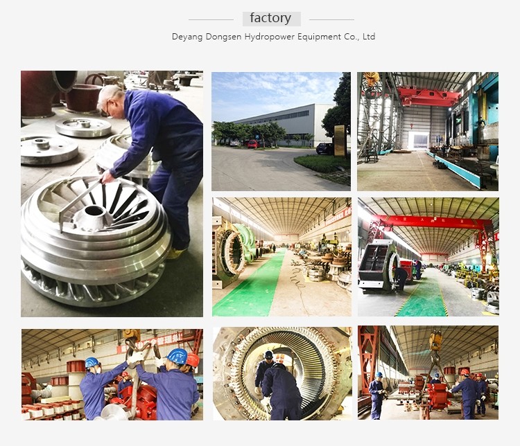 Customized 1000 Kw Francis Turbine Generator Double Pivot Adjustable