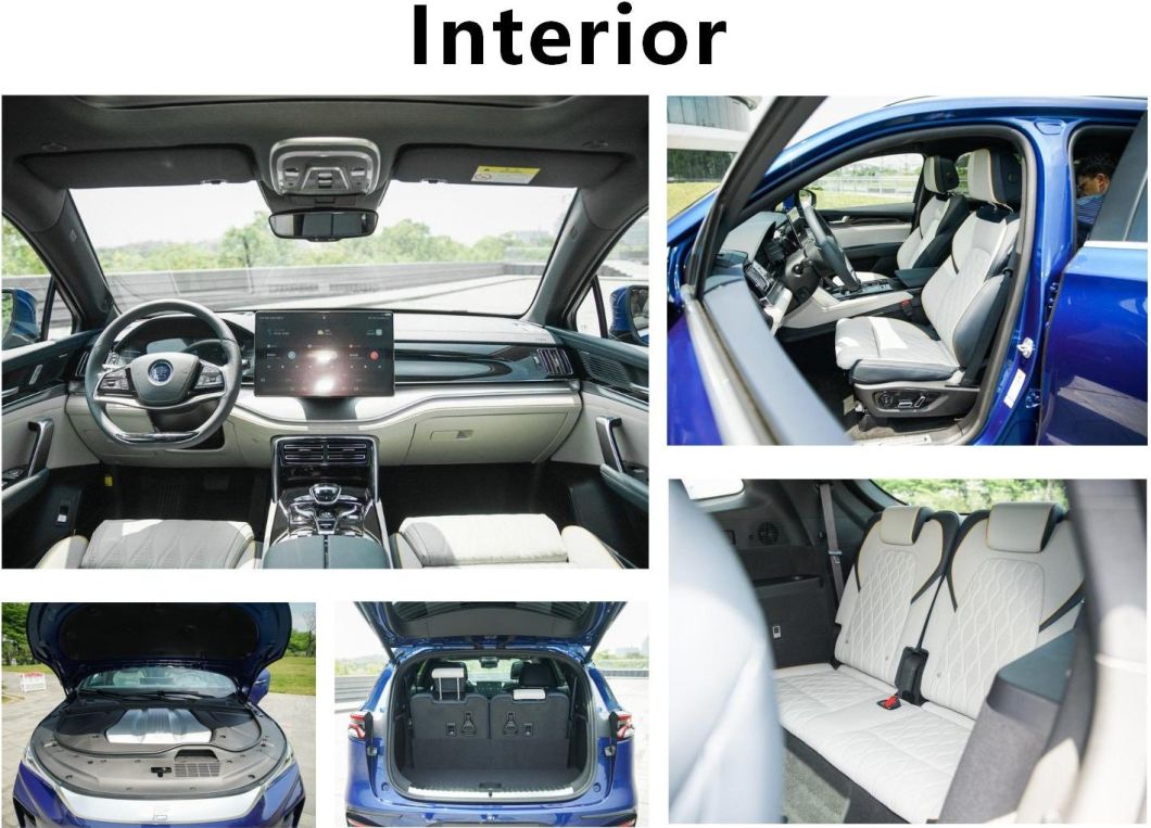 2021 New Energy Big Size Electric Vehicle Second-Hand Byd Tang EV with Fast Charging