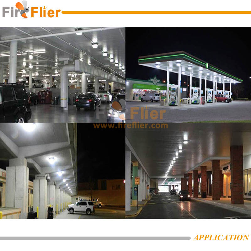 ceiling canopy light application 1.jpg