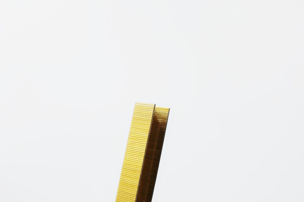 Top-Rated 14 Series Galvanized Industrial Wire Staples 20 Gauge with High Quality 1410