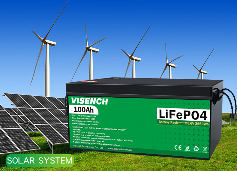 Visench Rechargeable Lithium Ion Batteries 51.2V 100Ah 24 Volt Custom LiFePO4 Battery Pack