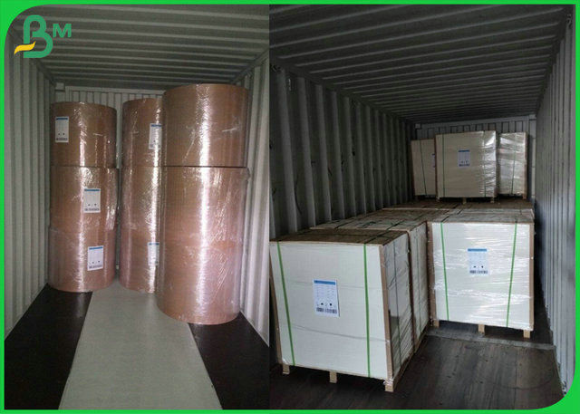 Food Contact Safe 300GSM 325GSM 350GSM C1S Paperboard For Paper Box 