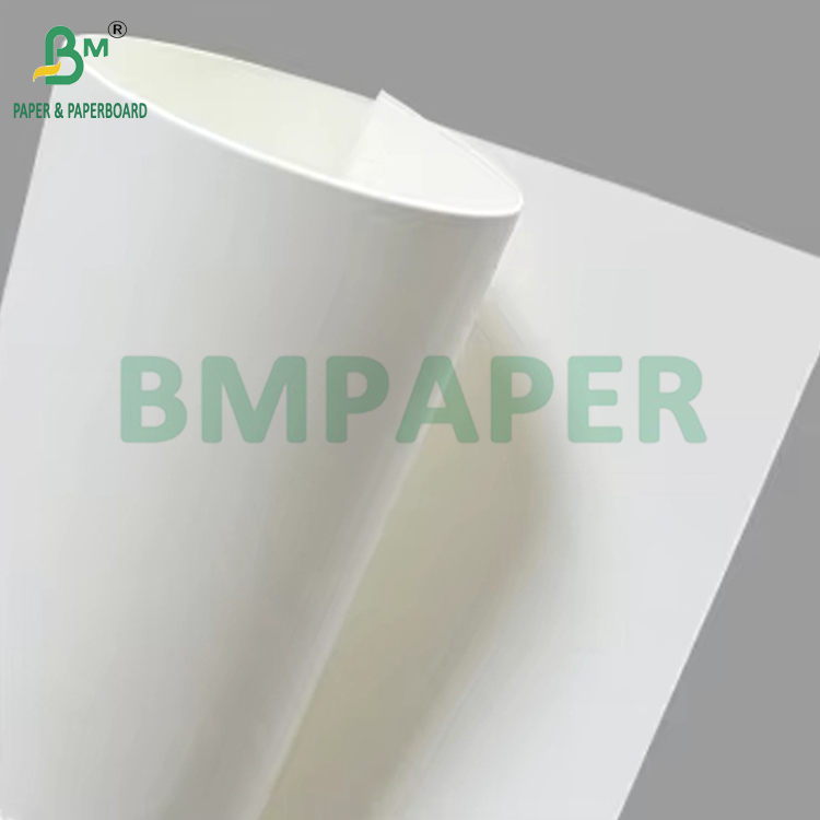 150gsm to 320gsm C1S PE Coated Cup Stock Paper Board For KFC Bowl 1020mm